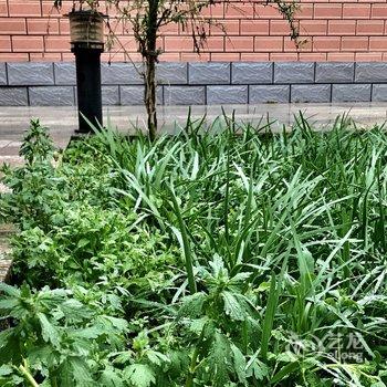 北京空山小院酒店提供图片