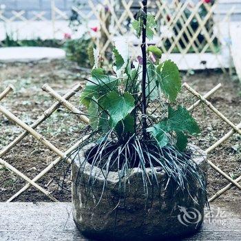 北京空山小院酒店提供图片