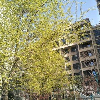 西安西游之旅公寓(三黄路分店)酒店提供图片