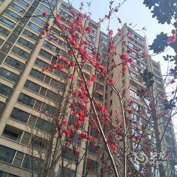 西安西游之旅公寓(三黄路分店)酒店提供图片