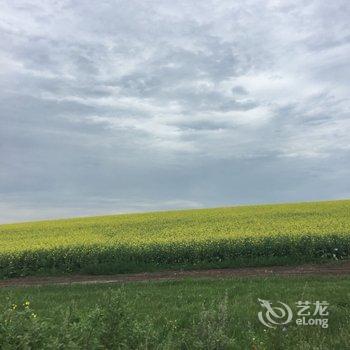 额尔古纳口岸桥宾馆酒店提供图片