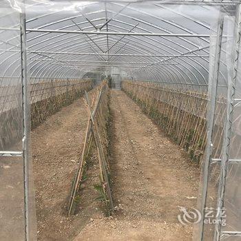 上海崇明西滩幸福家园特色民宿酒店提供图片