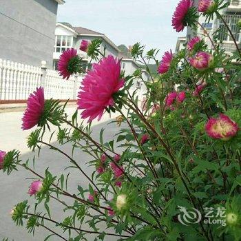 Vivi999别墅(北京马安村店)酒店提供图片