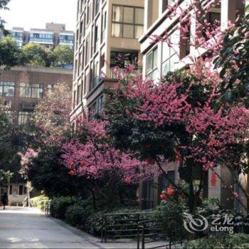 成都Smile之家公寓(大象分店)酒店提供图片
