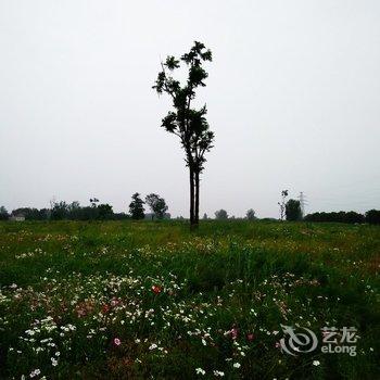西安Alex的梦想之家公寓酒店提供图片