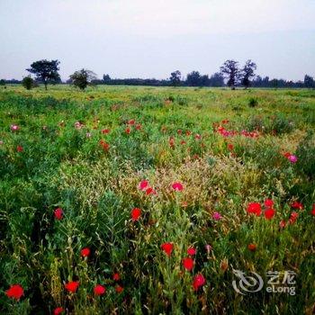 西安Alex的梦想之家公寓酒店提供图片