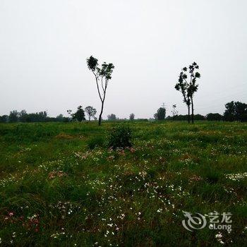 西安Alex的梦想之家公寓酒店提供图片