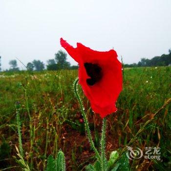 西安Alex的梦想之家公寓酒店提供图片
