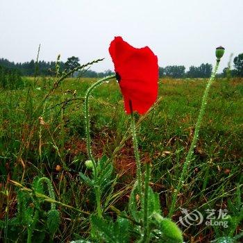 西安Alex的梦想之家公寓酒店提供图片