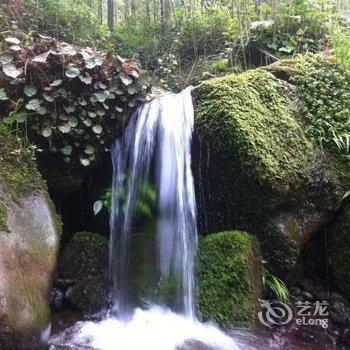 成都青城山红源客栈(九龙村分店)酒店提供图片