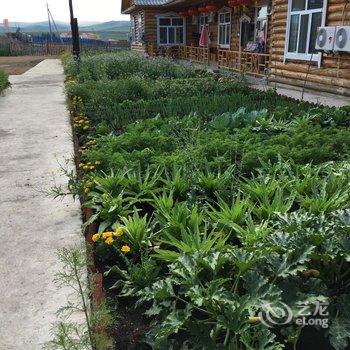 额尔古纳口岸桥宾馆酒店提供图片