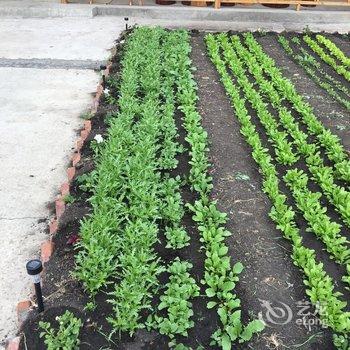 额尔古纳口岸桥宾馆酒店提供图片