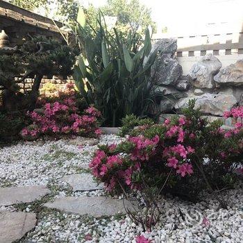 柠檬之家公寓(青岛浮山所路店)酒店提供图片