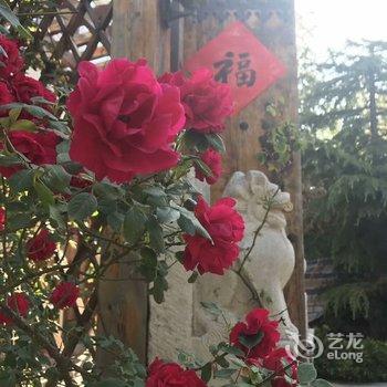 柠檬之家公寓(青岛浮山所路店)酒店提供图片