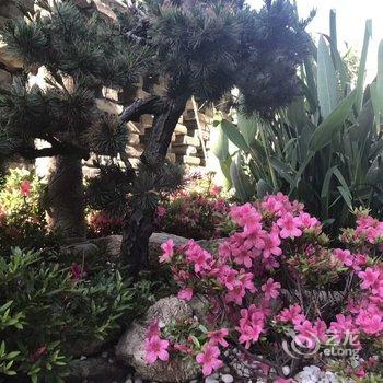 柠檬之家公寓(青岛浮山所路店)酒店提供图片