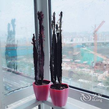 青岛偶宝公寓(消防博物馆分店)酒店提供图片