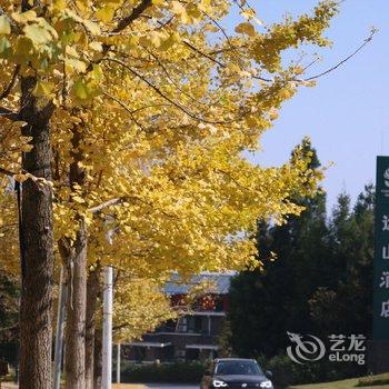 重庆野路子公寓酒店提供图片