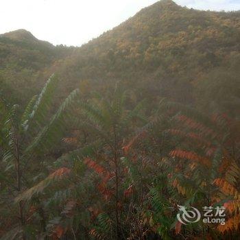北京爱来农家院民宿酒店提供图片