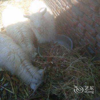 北京爱来农家院民宿酒店提供图片