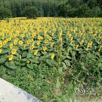 北京爱来农家院民宿酒店提供图片