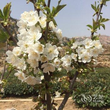 青岛崂山温馨之家农家院特色民宿(法显崂山登陆纪念分店)酒店提供图片