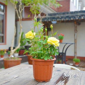 ��86����(�Ϻ���ͷ���)�Ƶ��ṩͼƬ