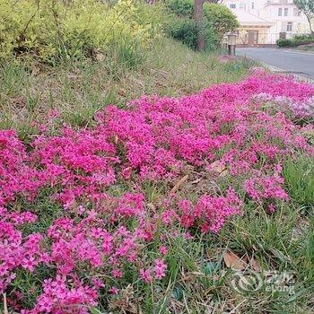 威海花妈妈家公寓酒店提供图片