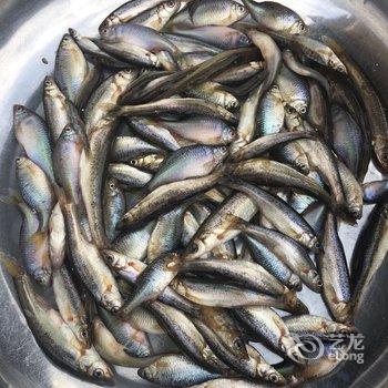 额尔古纳口岸桥宾馆酒店提供图片