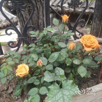 任姐民宿(北京恭王府店)酒店提供图片