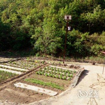 承德暑山庄后花园薰衣草民宿(老西营村分店)酒店提供图片