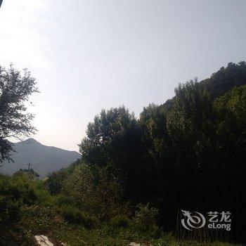 承德暑山庄后花园薰衣草民宿(老西营村分店)酒店提供图片