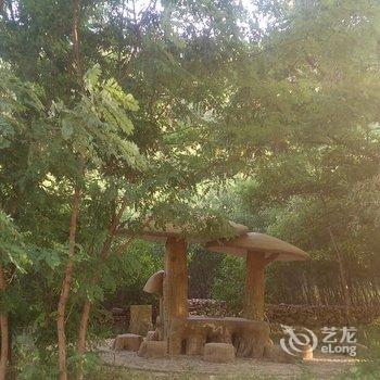 承德暑山庄后花园薰衣草民宿(老西营村分店)酒店提供图片