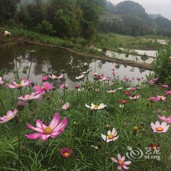 恩施苏马荡逸悦山庄特色民宿酒店提供图片