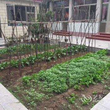 北京店小二儿客栈酒店提供图片