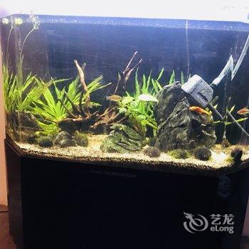 北京花木兰青年旅舍酒店提供图片