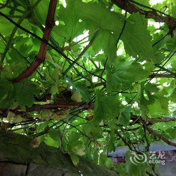 体验北京当地人的生活民宿(北京张自忠路A口西北口店)酒店提供图片