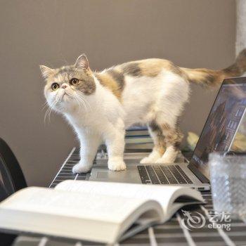 上海AtaLau公寓酒店提供图片