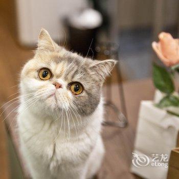 上海AtaLau公寓酒店提供图片