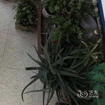 上海玉暖烟公寓酒店提供图片