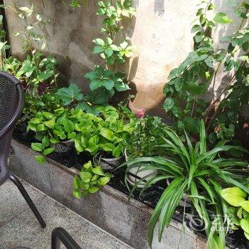 北京京舍特色民宿(大翔凤胡同分店)酒店提供图片