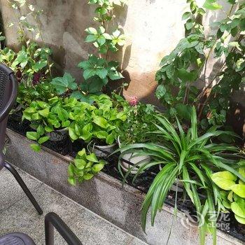 北京京舍特色民宿(大翔凤胡同分店)酒店提供图片