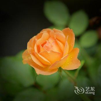 荣驿国际青年旅舍(横店梦幻谷总店)酒店提供图片