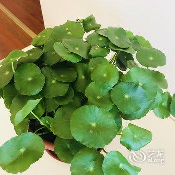 广州长隆大夫山祈福别墅短租(倚湖街分店)酒店提供图片