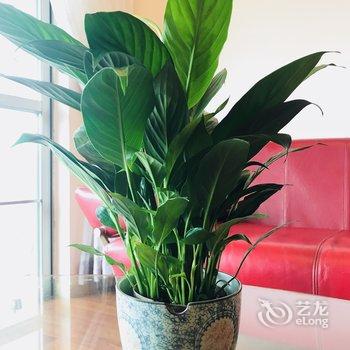 广州长隆大夫山祈福别墅短租(倚湖街分店)酒店提供图片