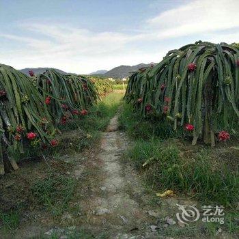 广州增城白水寨香江健康山谷别墅酒店提供图片