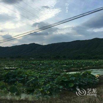 广州增城白水寨香江健康山谷别墅酒店提供图片