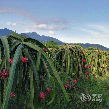广州增城白水寨香江健康山谷别墅酒店提供图片