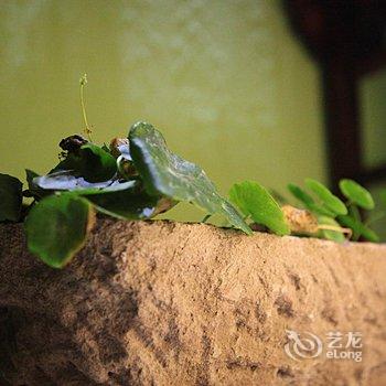 荣驿国际青年旅舍(横店梦幻谷总店)酒店提供图片