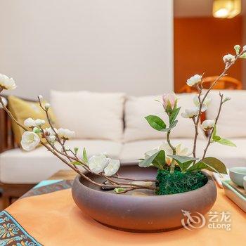成都途掌柜·嘉瑶公寓(宽巷子分店)酒店提供图片