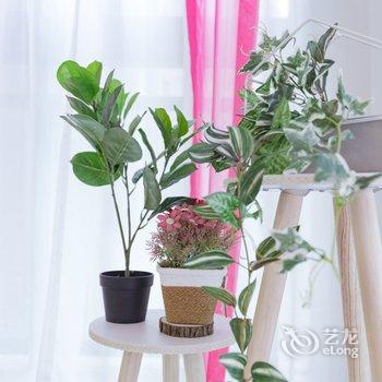 重庆nancy(00145920)公寓酒店提供图片